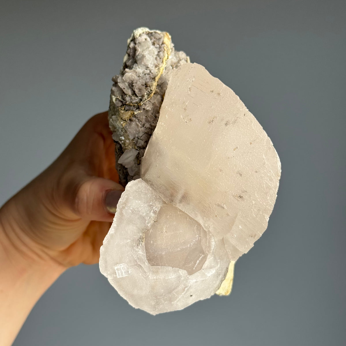 RARE Etched Pagoda Calcite Clamshell Crystal Specimen – Wholehearted Crystal Creations