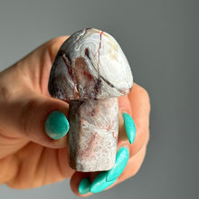 Crazy Lace Agate Mushroom Carving Specimen