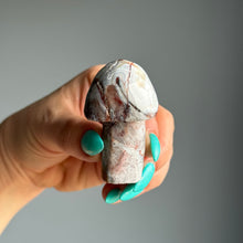 Crazy Lace Agate Mushroom Carving Specimen