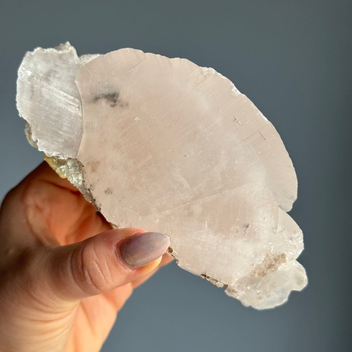 RARE Etched Pagoda Calcite Clamshell Crystal Specimen – Wholehearted Crystal Creations