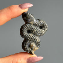 Que Sera Snake Specimen