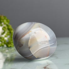 Orca Agate Palm Stone Crystal Specimen