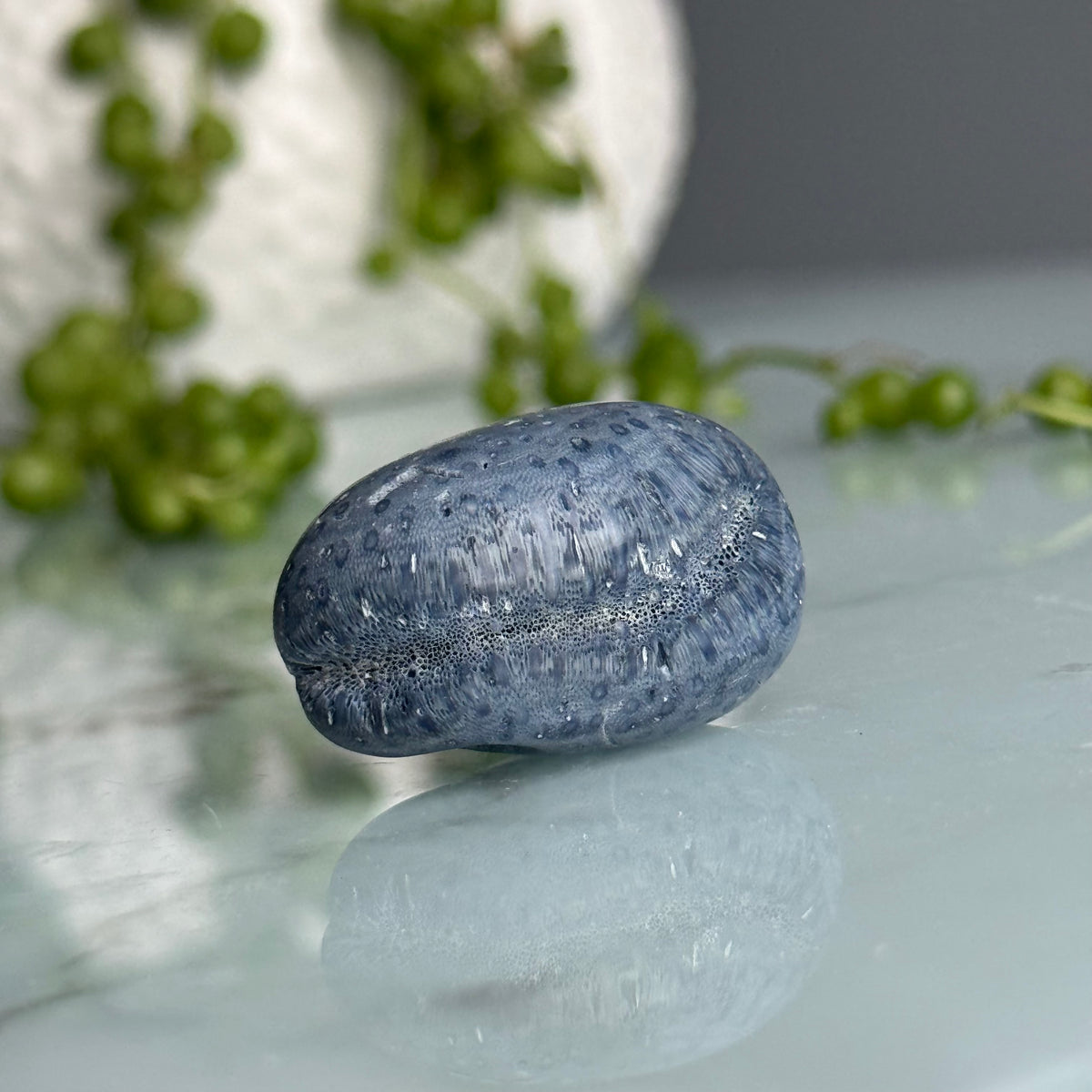 Blue Coral Tumbled Pocket Stone Crystal Specimen – Wholehearted Crystal Creations