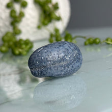 Blue Coral Tumbled Pocket Stone Specimen (LG)