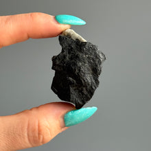 Sarah's Black Tourmaline & Clear Quartz Raw Duo
