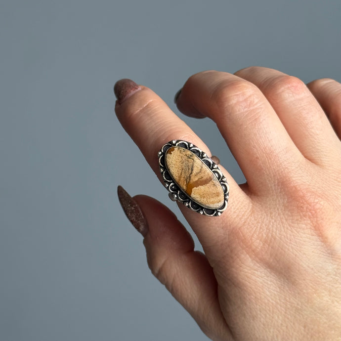 Picture Jasper Size 8 Ring