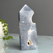 Blue Coral Tower Specimen