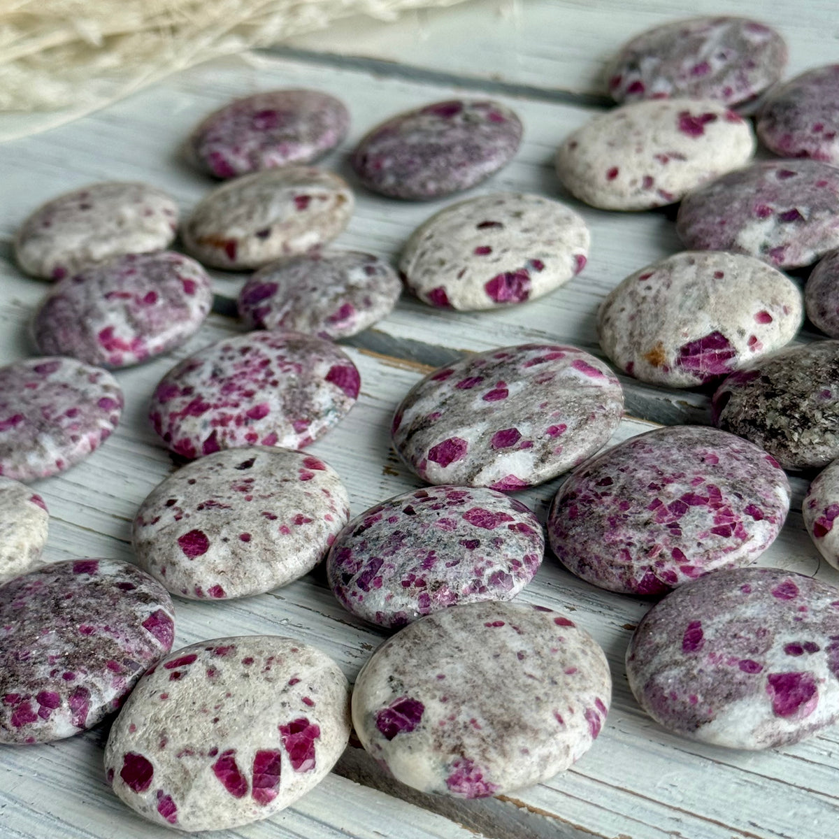 Ruby in Granite Coin Pocket Stone Crystal Specimen – Wholehearted Crystal Creations