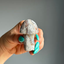 Crazy Lace Agate Mushroom Carving Specimen