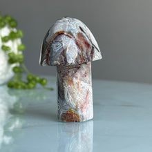 Crazy Lace Agate Mushroom Carving Specimen