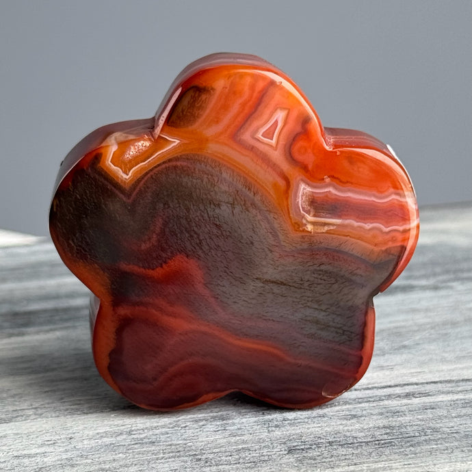 Carnelian Flower Carving Specimen