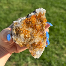 Citrine (HTA) Cluster Crystal Specimen