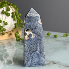 Blue Coral Tower Specimen
