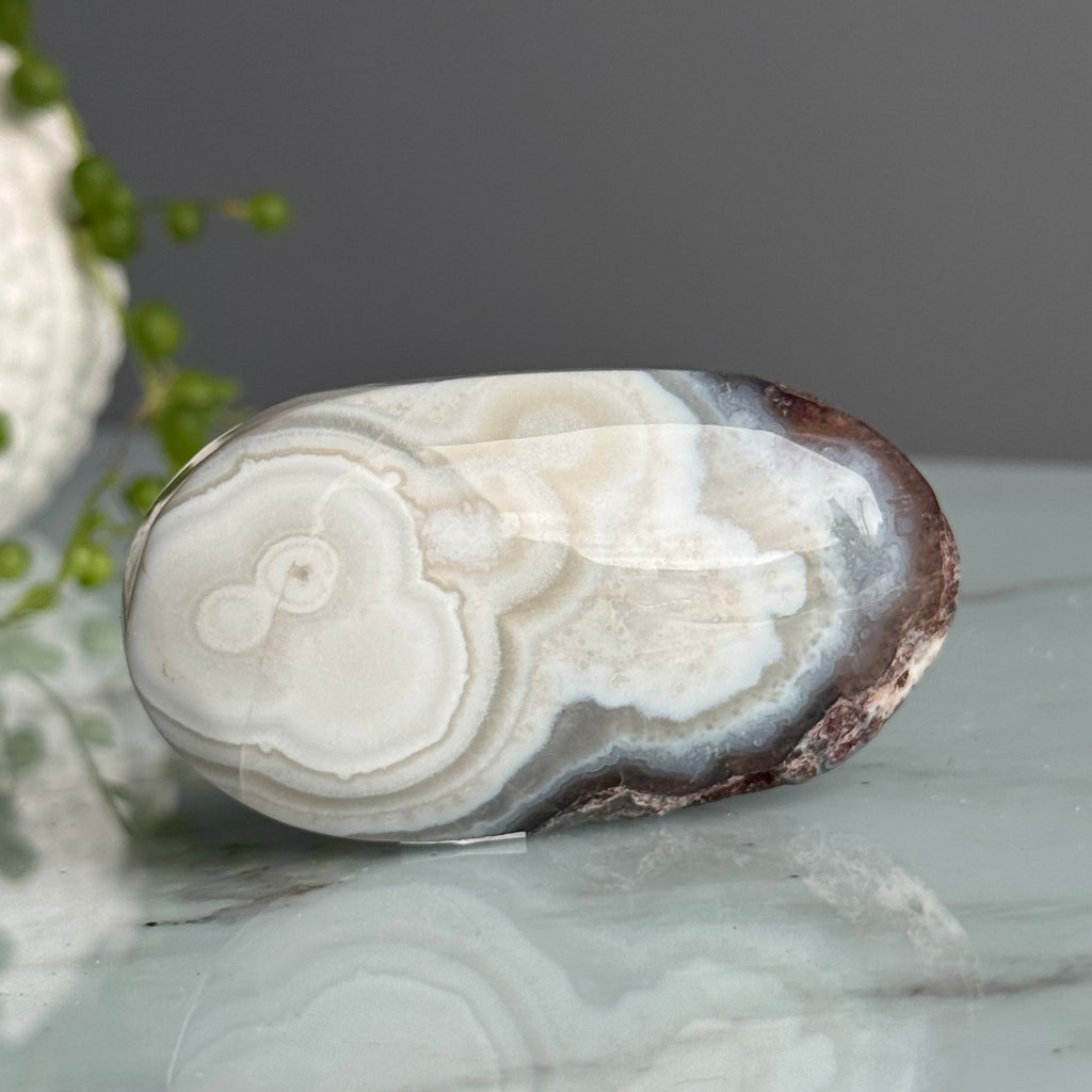 Crazy Lace Agate Palm Stone Crystal Specimen – Wholehearted Crystal Creations