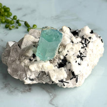 AAA Rare Aquamarine Specimen on Tourmalated Quartz Matrix