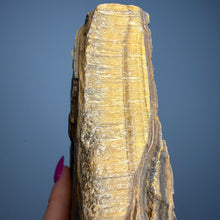 Tiger's Eye (Raw) Crystal Specimen