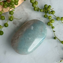 Trolleite Palm Stone Specimen
