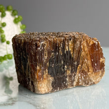 Honey (Amber) Calcite Raw Specimen