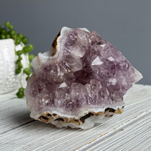 Amethyst & Blue Chalcedony Geode Raw Freeform Specimen