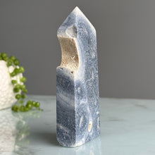 Blue Coral Tower Specimen