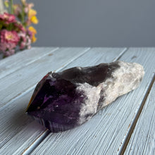 Amethyst (Elestial Dragon’s Tooth) Crystal Specimen AS333