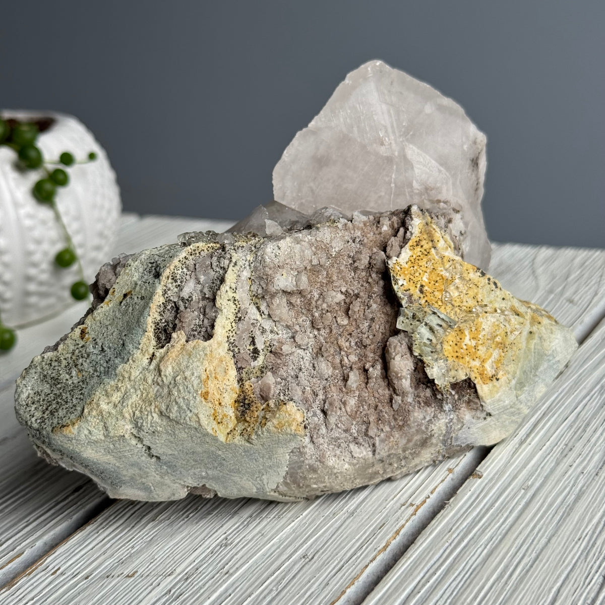 RARE Etched Pagoda Calcite Clamshell Crystal Specimen – Wholehearted Crystal Creations