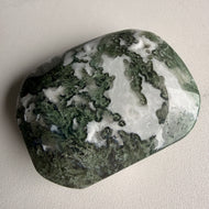 Moss Agate Palm Stone Specimen (MA25)