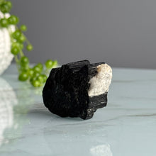 Sarah's Black Tourmaline & Clear Quartz Raw Duo