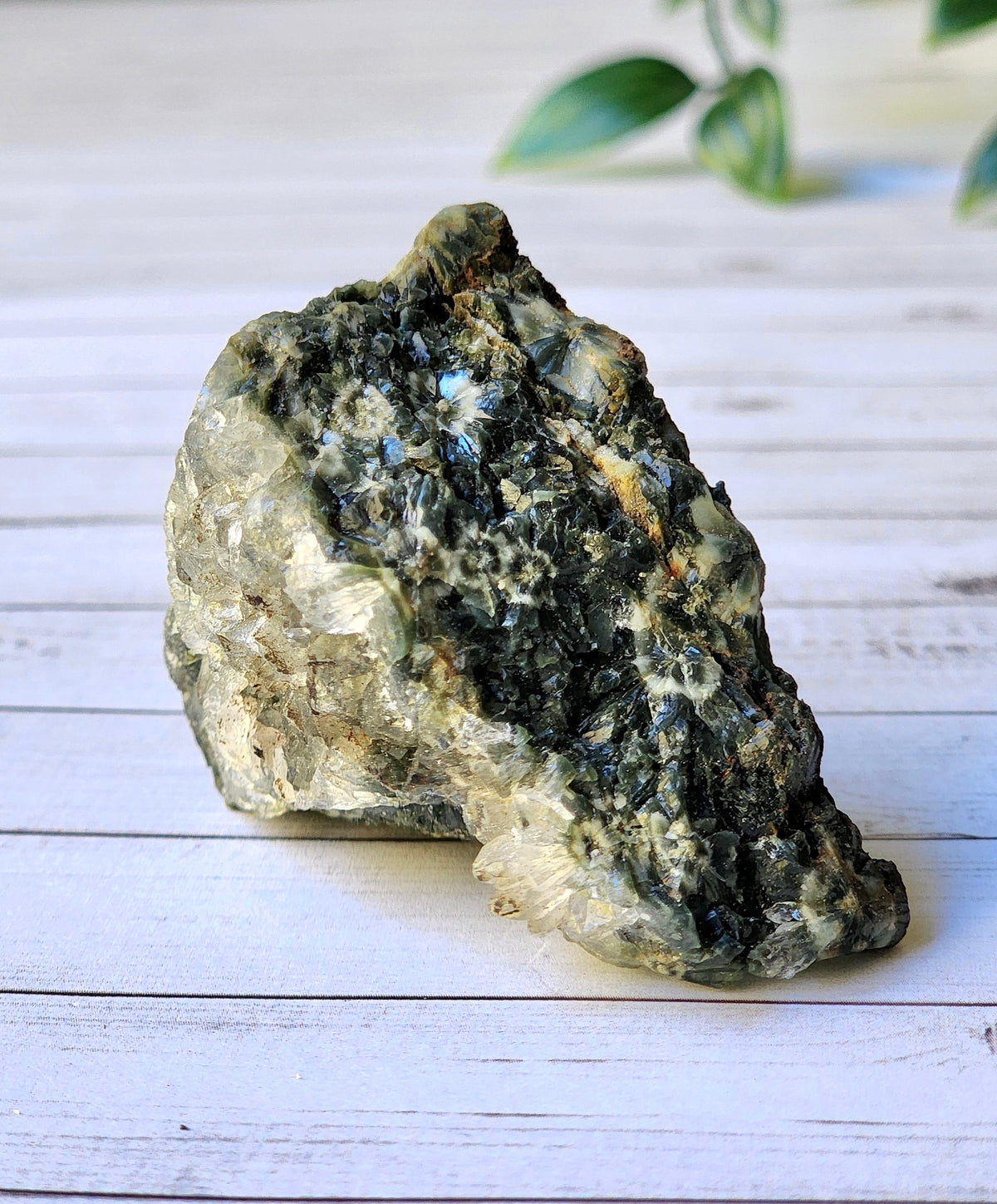 Ocean Jasper Raw Cluster Crystal Specimen – Wholehearted Crystal Creations
