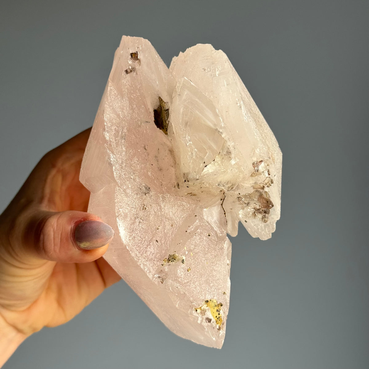 RARE Etched Pagoda Calcite Clamshell Crystal Specimen – Wholehearted Crystal Creations