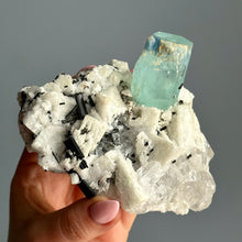 AAA Rare Aquamarine Specimen on Tourmalated Quartz Matrix