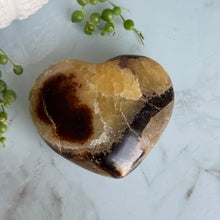 Septarian Nodule Heart Carving Specimen
