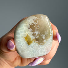 Green Flower Agate Specimen (FA04)