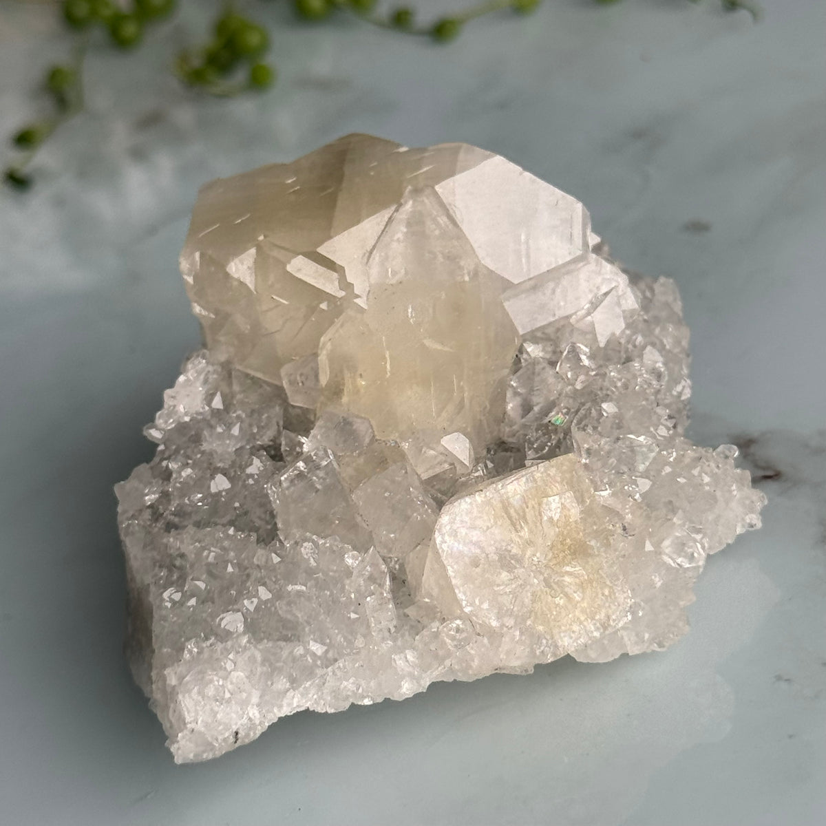 Apophyllite Raw Crystal Specimen – Wholehearted Crystal Creations