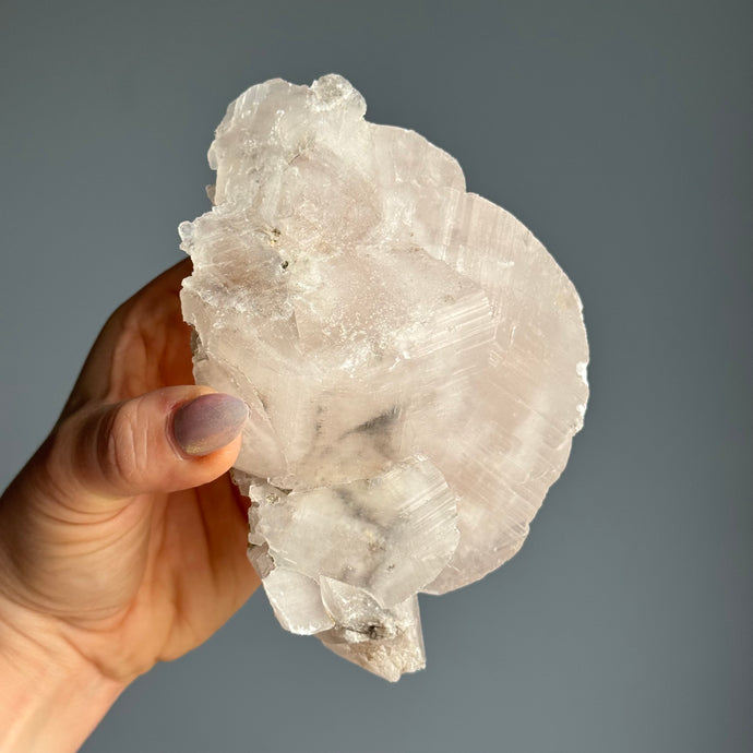 RARE Etched Pagoda Calcite Clamshell Specimen with Fluorite Inclusions (UV Reactive) (PA1)