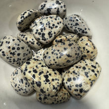Dalmatian Jasper Tumbled Pocket Stone Crystal Specimen ($2-$5)