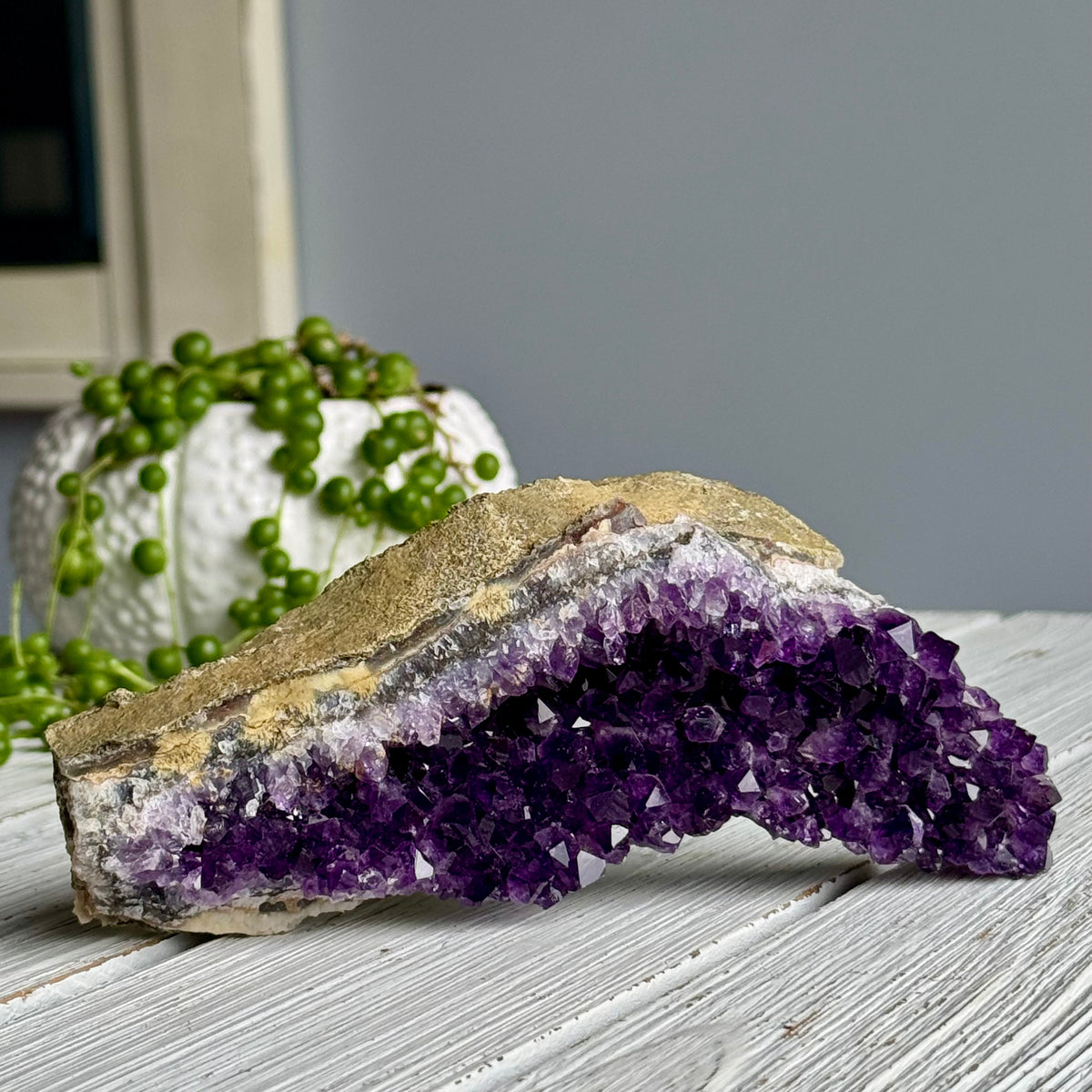 Amethyst Uruguay Cluster Crystal Specimen – Wholehearted Crystal Creations