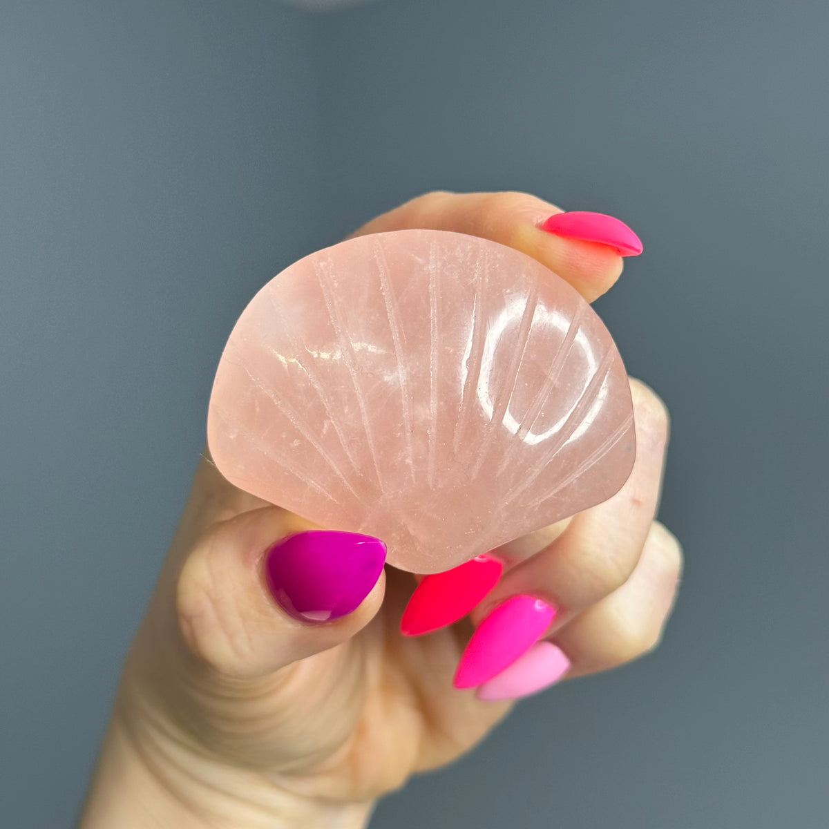 Rose Quartz Seashell Carving Crystal Specimen – Wholehearted Crystal Creations