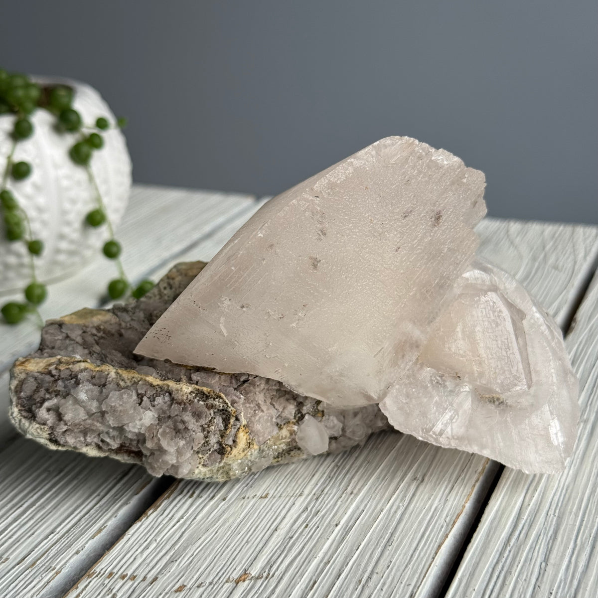 RARE Etched Pagoda Calcite Clamshell Crystal Specimen – Wholehearted Crystal Creations