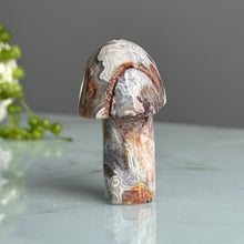 Crazy Lace Agate Mushroom Carving Specimen