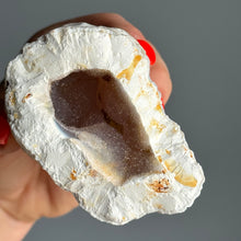 Orca Agate Druzy Geode Specimen