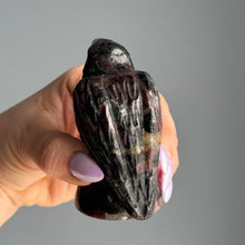Garnet in Arfvedsonite Raven Carving Specimen