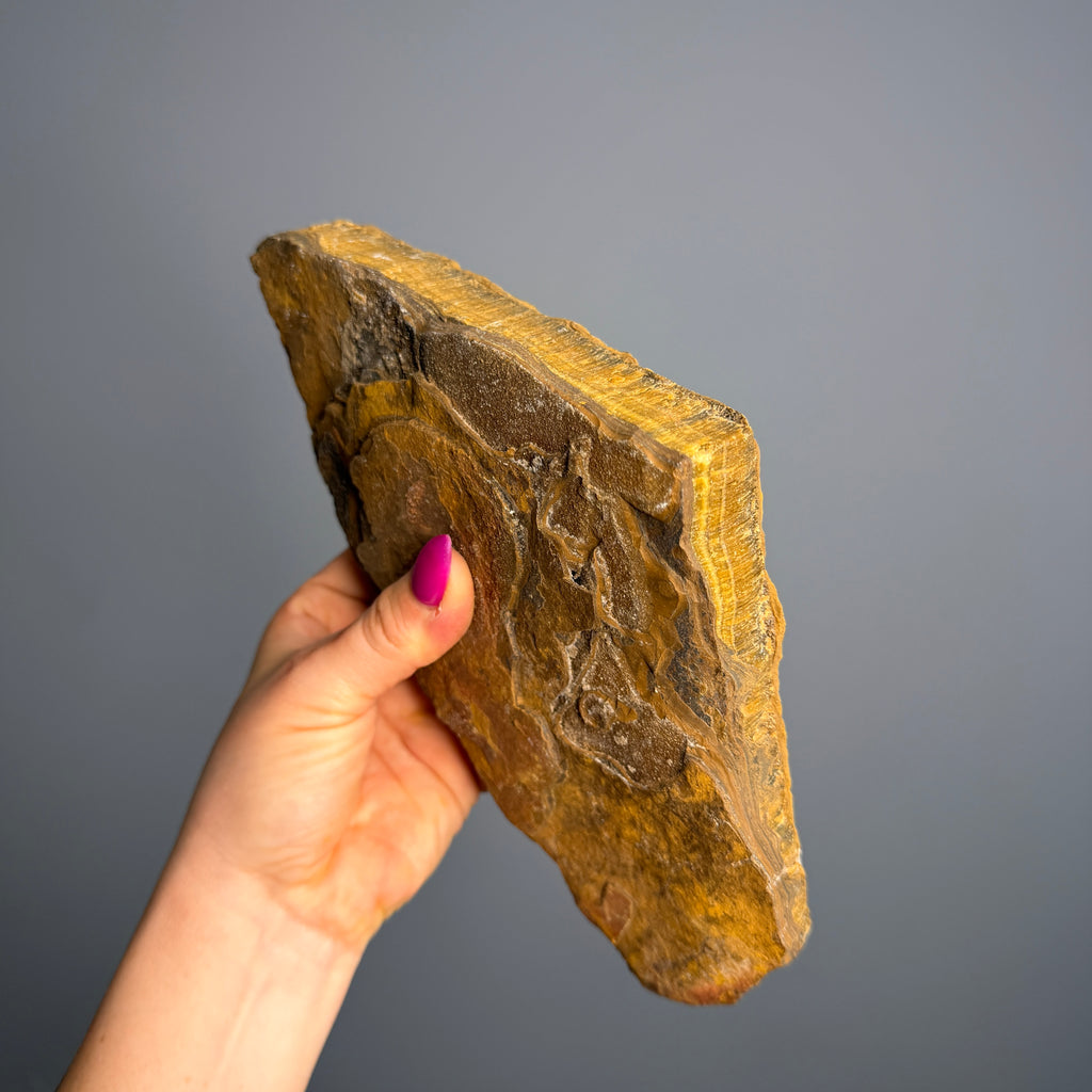 Raw Tiger's Eye stone showing golden chatoyant bands