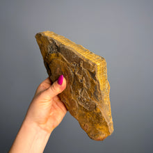 Tiger's Eye (Raw) Crystal Specimen