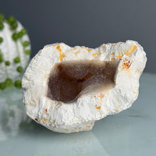 Orca Agate Druzy Geode Specimen