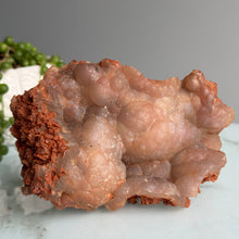 Botryoidal Hematoid Chalcedony Crystal Specimen