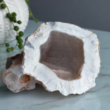 Orca Agate Druzy Geode Specimen