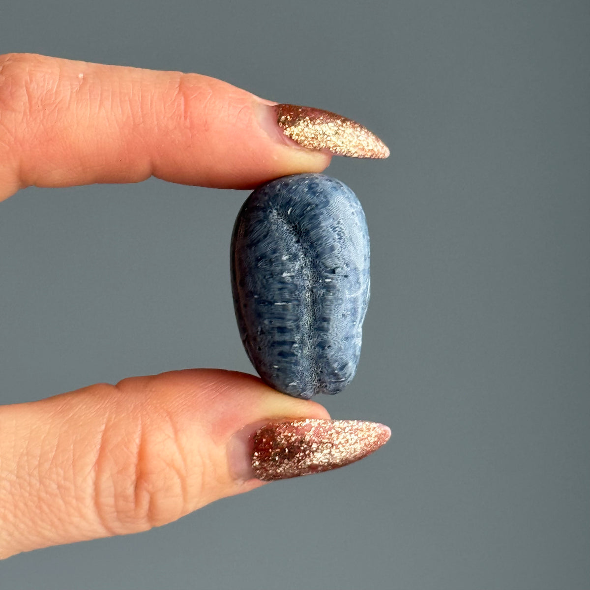 Blue Coral Tumbled Pocket Stone Crystal Specimen – Wholehearted Crystal Creations