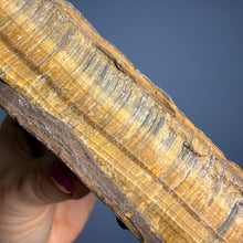 Tiger's Eye (Raw) Crystal Specimen