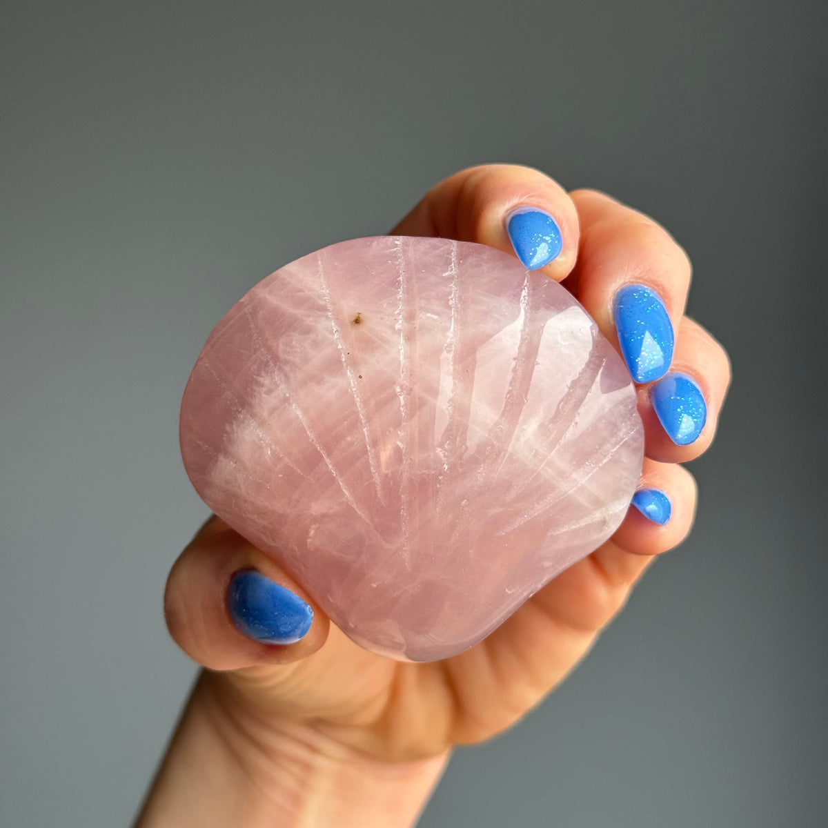 Rose Quartz Seashell Carving Crystal Specimen – Wholehearted Crystal Creations